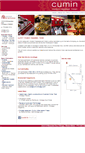 Mobile Screenshot of cumin-chicago.com